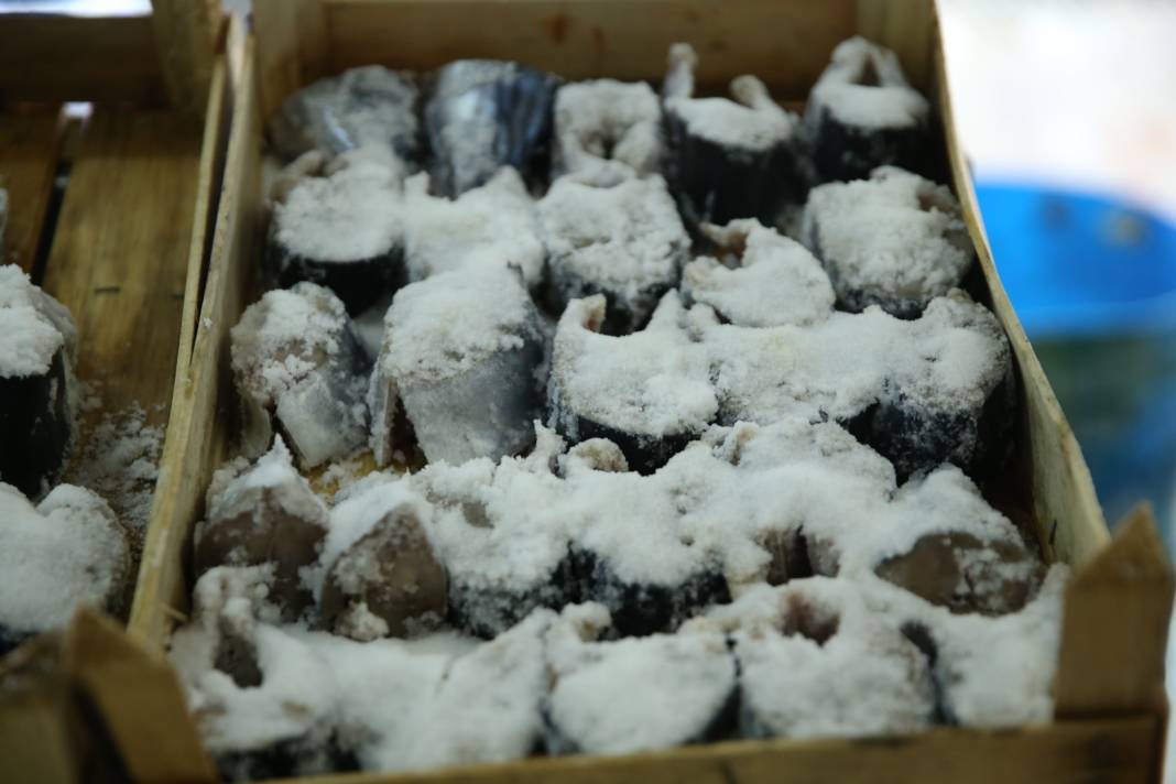 Palamudu 1500 liraya satıyorlar: Bu haliyle 1 yıl dayanıyor 2